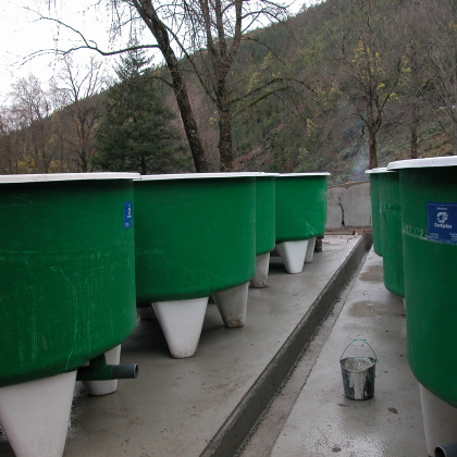 foto_01