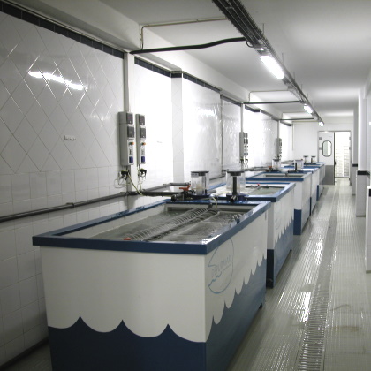 foto_02