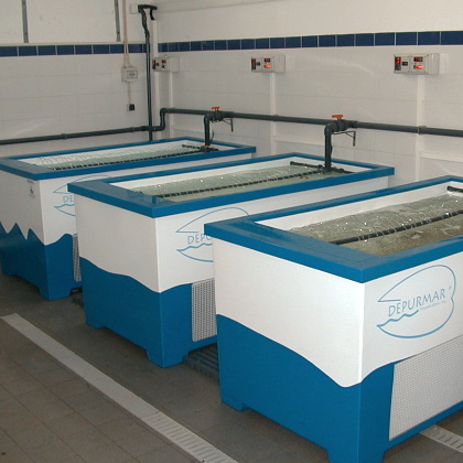 foto_05