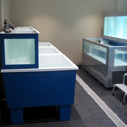 foto_001