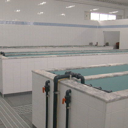 foto_01