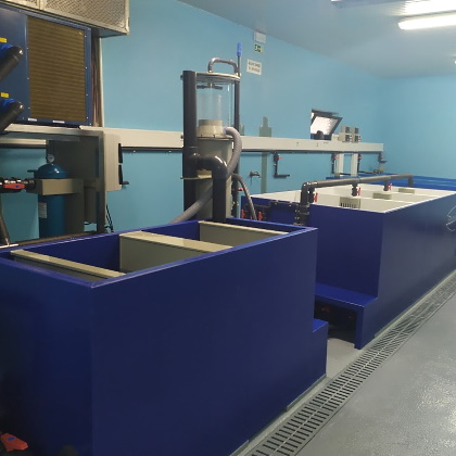 foto_03